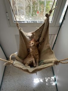 chat